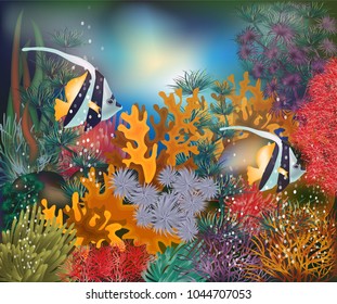 Underwater tropical card with Moorish idol fish, vector illustration