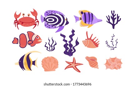 Underwater tropical creatures and objects isolated on white background. Flat vector illustration.