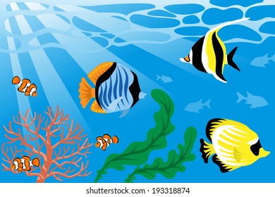 Underwater, Tropical Fish and Sea Life