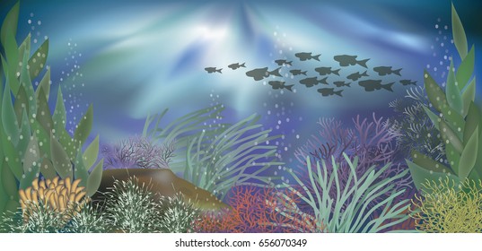Underwater tropical wallpaper, vector illustration
