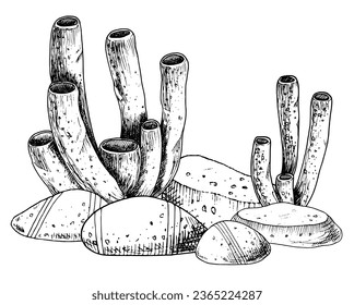 Underwater tube Corals and Seabed. Hand drawn vector underwater illustration on isolated background of ocean floor stones and seaweeds. Line art drawing for icon or logo in marine style. Black inks.