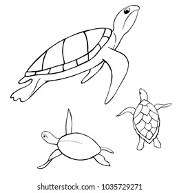 Underwater turtle.  Vector sketch  illustration.