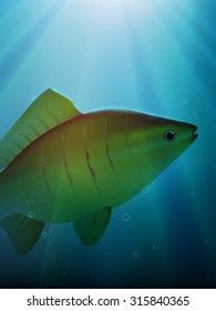underwater vector scene