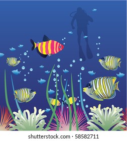 underwater vector of tropical fishes and scuba diver