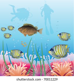 underwater vector of tropical fishes and scuba divers