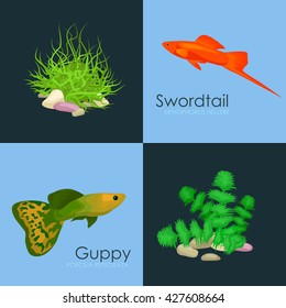 Underwater vector world background with fish, seaweed and bubbles