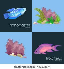 Underwater vector world background with fish, seaweed and bubbles