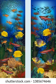 Underwater vertical banners with algae and tropical fish, vector illustration