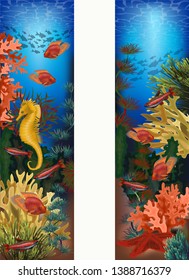 Underwater vertical banners with starfish and seahorse, vector illustration