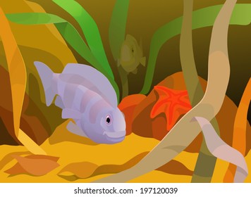 underwater view with fishes, starfish and seaweeds, vector illustration