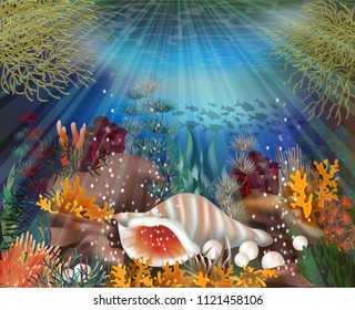 Underwater wallpaper with conch shell, vector illustration