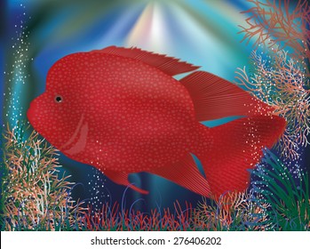 Underwater wallpaper with red tropical fish, vector illustration