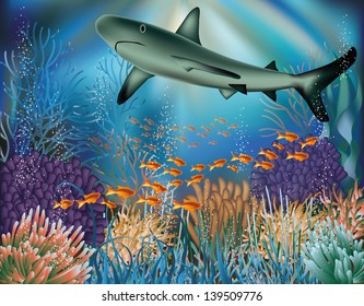 Underwater wallpaper with shark. vector illustration