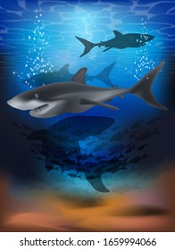 Underwater wallpaper with shark . vector illustration
