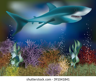 Underwater wallpaper with Shark, vector illustration