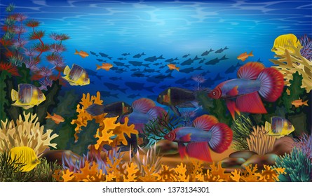 Underwater wallpaper with tropical fish and algae, vector illustration