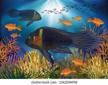Underwater wallpaper  with tropical fish, vector illustration