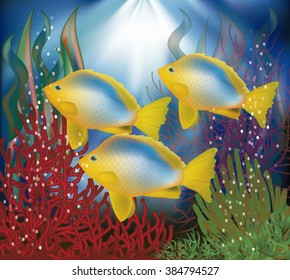Underwater wallpaper with tropical fish, vector illustration