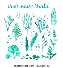 Underwater watercolor algae set. Vector watercolor marine life. Hand drawn various green plants, seaweeds, kelps, stones, bubbles isolated on white background.