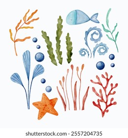 Underwater watercolor plants and animals. Colored seaweed and algae, corals and reefs, fishe. Cartoon vector illustration set of aquarium or ocean and marine creatures. Tropical sea life elements.