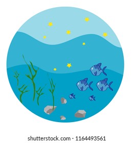 
Underwater world. 