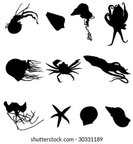 Underwater World of Animals