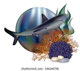 Underwater world banner with shark, vector illustration