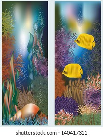Underwater world  banners with seashell, vector illustration