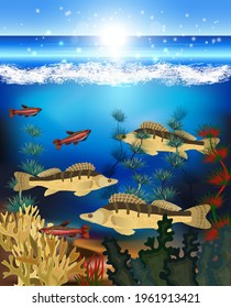 Tarjeta mundial submarina con peces y algas, ilustración vectorial	