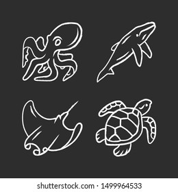 Underwater world chalk icons set. Swimming octopus, squid, turtle, whale. Ocean animals, undersea wildlife. Marine fauna. Aquatic creatures. Water organism. Isolated vector chalkboard illustrations