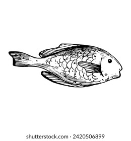 Underwater world clipart with fish. Graphic illustration hand drawn in black ink. Isolated object EPS vector.