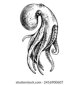 Underwater world clipart with Octopus. Graphic illustration hand drawn in black ink. Isolated object EPS vector.