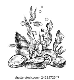 Underwater world clipart with sea animals fishes, shells, coral and algae. Graphic illustration hand drawn in black ink. Composition EPS vector.