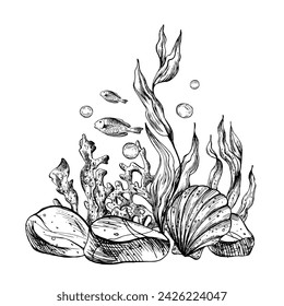 Underwater world clipart with sea animals fish, pebbles, bubbles, coral and algae. Graphic illustration hand drawn in black ink. Composition EPS vector