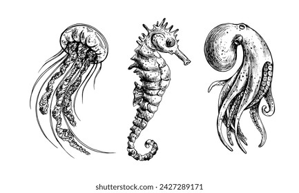 Underwater world clipart with sea animals octopus, seahorse, jellyfish. Graphic illustration hand drawn in black ink. A set of isolated elements EPS vector