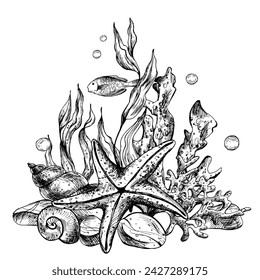 Underwater world clipart with sea animals starfish, fish, shells, coral and algae. Graphic illustration hand drawn in black ink. Composition EPS vector.