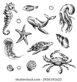 Clipart mundo submarino con animales marinos ballena, tortuga, pulpo, caballo de mar, estrellas de mar, conchas, coral y algas. Ilustración gráfica dibujada a mano en tinta negra. Conjunto de objetos aislados EPS vector.