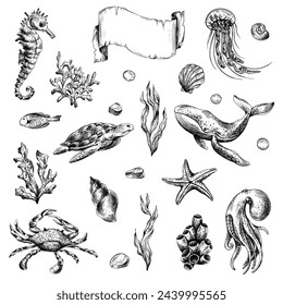 Unterwasser-Welt-Klippchen mit Meerestieren Wal, Schildkröte, Tintenfisch, Seepferdchen, Seesterne, Muscheln, Korallen und Algen. Grafische Illustration handgezeichnet in schwarzer Tinte. Satz isolierter Objekte EPS-Vektor.