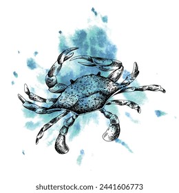 Underwater world clipart with sea animals, crab. Graphic illustration hand drawn in black ink. Composition EPS vector.