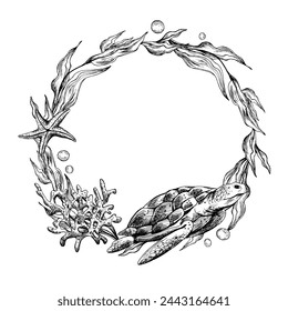 Underwater world clipart with sea animals turtle, shells, bubbles, coral and algae. Graphic illustration hand drawn in black ink. Circle wreath, frame EPS vector.