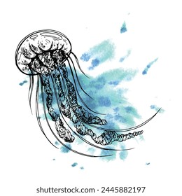 Underwater world clipart with sea animals jellyfish. Graphic illustration hand drawn in black ink. Composition EPS vector