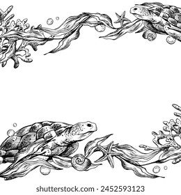 Underwater world clipart with sea animals turtle, shells, bubbles, coral and algae. Graphic illustration hand drawn in black ink. Template, frame EPS vector.