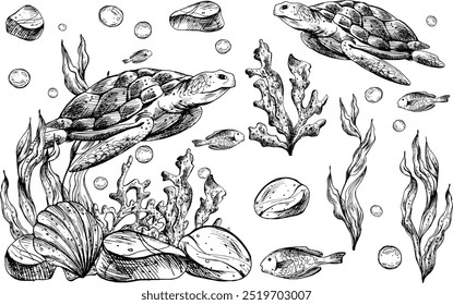 Subaquático mundo clipart com animais do mar tartaruga, peixe, seixos, bolhas, coral e algas. Mão de ilustração gráfica desenhada a tinta preta. Conjunto de objetos isolados do vetor EPS.