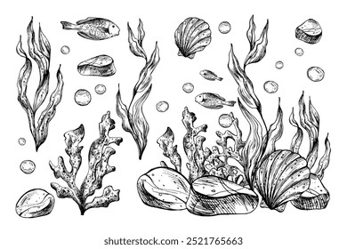 Subaquático mundo clipart com animais do mar peixes, seixos, bolhas, coral e algas. Mão de ilustração gráfica desenhada a tinta preta. Conjunto de objetos isolados do vetor EPS.