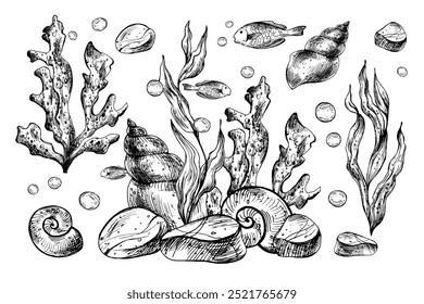 Clipart mundo subaquático com animais do mar peixes, conchas, coral e algas. Mão de ilustração gráfica desenhada a tinta preta. Conjunto de objetos isolados do vetor EPS.