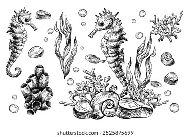 Unterwasserwelt Clipart mit Meerestieren Seepferdchen, Seestern, Muscheln, Korallen und Algen. Handgezeichnete grafische Illustration mit schwarzer Tinte. Satz von isolierten Objekten, EPS-Vektor.