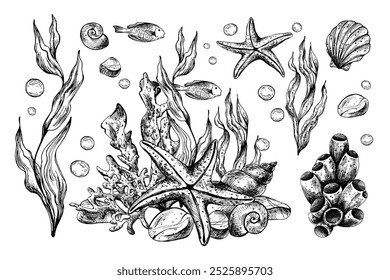 Unterwasserwelt Clipart mit Meerestieren Seesterne, Muscheln, Korallen und Algen. Handgezeichnete grafische Illustration mit schwarzer Tinte. Satz von isolierten Objekten, EPS-Vektor.