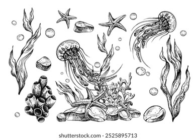 Subaquático mundo clipart com animais do mar águas-vivas, estrelas-do-mar, seixos, bolhas, coral, esponja e algas. Mão de ilustração gráfica desenhada a tinta preta. Conjunto de objetos isolados do vetor EPS.