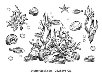 Clipart mundo subaquático com animais do mar peixes, conchas, coral e algas. Mão de ilustração gráfica desenhada a tinta preta. Conjunto de objetos isolados do vetor EPS.