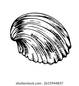 Underwater world clipart with seashell. Graphic illustration hand drawn in black ink. Isolated object EPS vector